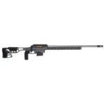 Model 110 Elite Precision predstavlja vrh Savage serije 110. Kot osnovo so vzeli že preizkušen model 110 ter na novo premislili vsak aspekt puške. Prenova vključuje vse nadgradnje ki jih potrebuje vsak zahteven strelec pri puški za ultimativno natančnost. Model 110 Elite Precision ima nastavljivo šasijo ki jo proizvaja MDT
