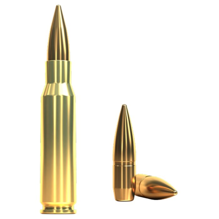 Naboj SB .308 Win FMJ 180 gn / 11,7g (50) - slika 2