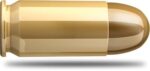 Naboj SB .45 Auto FMJ 230 gn / 14,9g (50) - slika 2