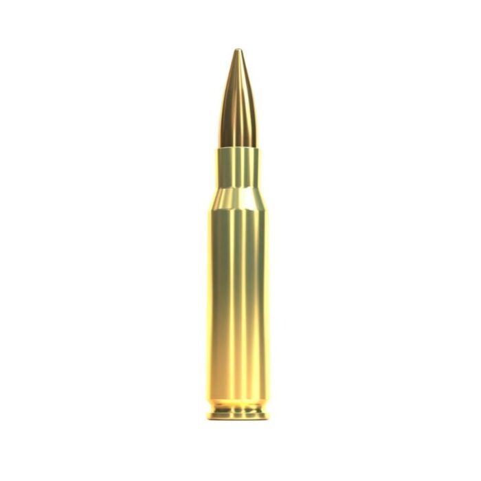 Naboj SB 7,62x51 SUBSONIC FMJ 13g - slika 2